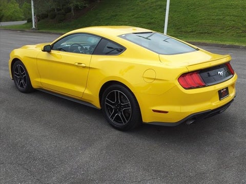 2018 Ford Mustang EcoBoost in huntington wv, WV - Dutch Miller Auto Group