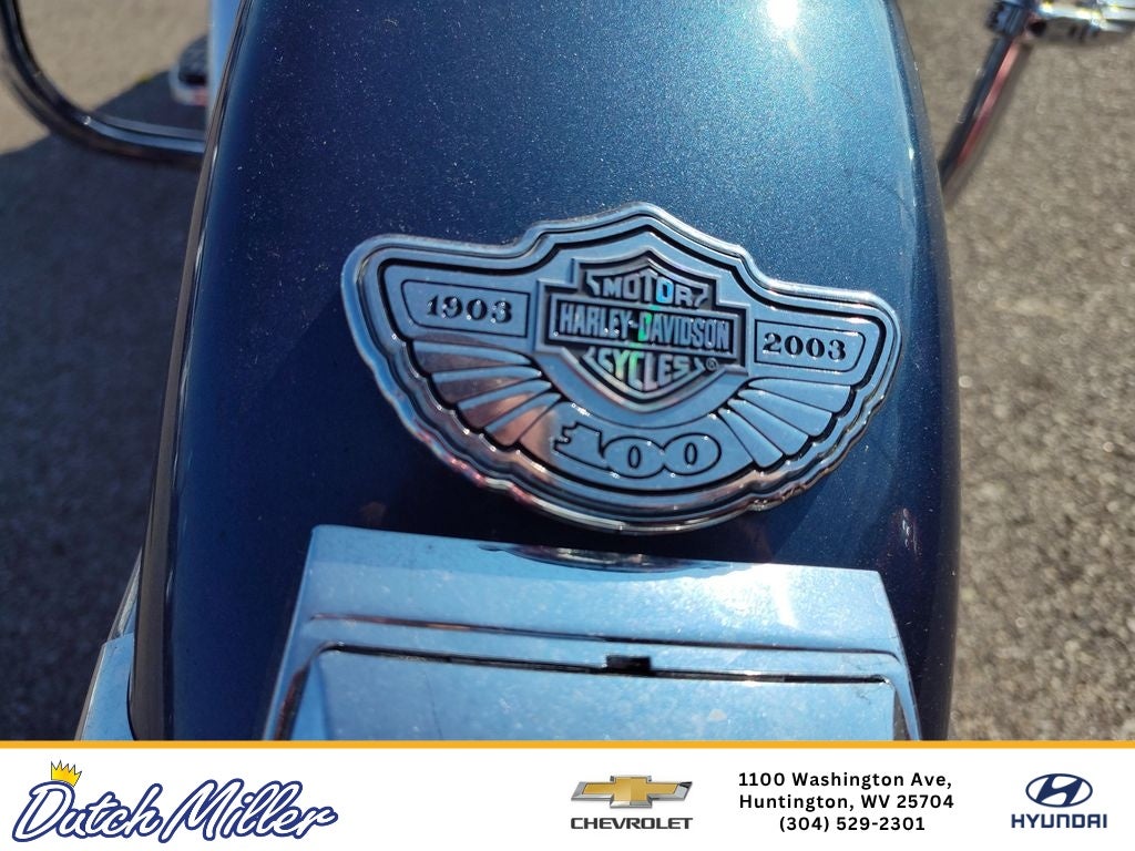 2003 Harley-Davidson FLHTCUI Base