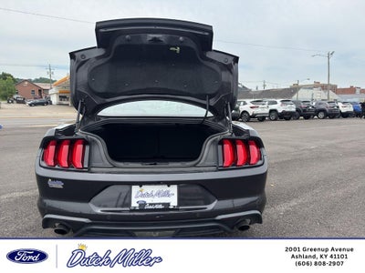 2022 Ford Mustang EcoBoost