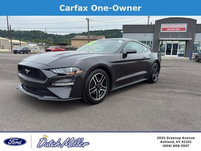 2022 Ford Mustang EcoBoost