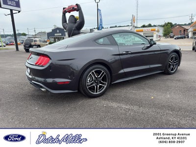 2022 Ford Mustang EcoBoost