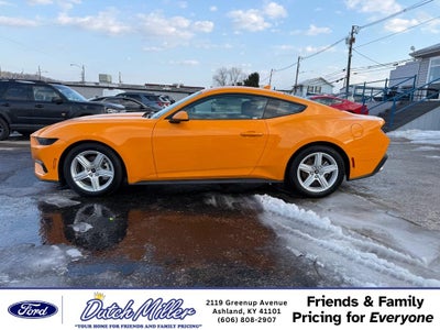 2026 Ford Mustang EcoBoost