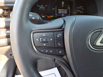 2025 Lexus UX 300h Premium